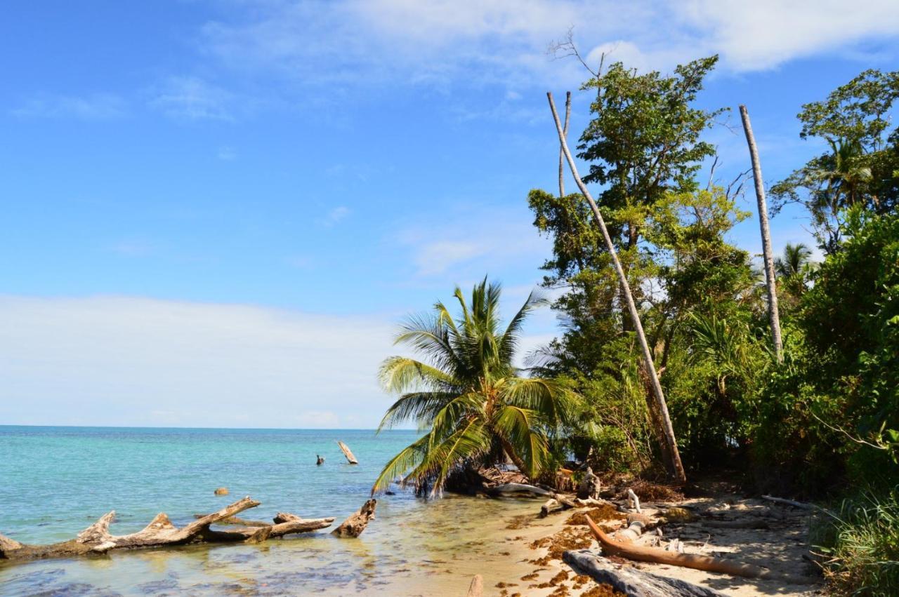 La Ruka Hostel Puerto Viejo de Talamanca Kültér fotó