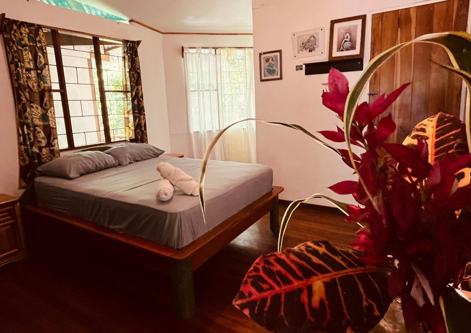 La Ruka Hostel Puerto Viejo de Talamanca Kültér fotó